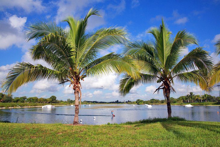 12 Top-Rated Things to Do in Coconut Creek, FL