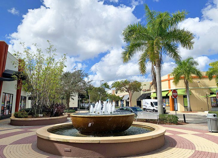 12 Top-Rated Things to Do in Coconut Creek, FL