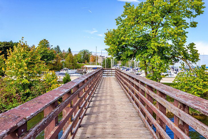 12 Top-Rated Things to Do in Collingwood, Ontario