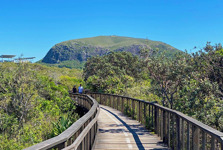 12 Top-Rated Things to Do in Coolum Beach