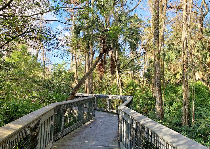 12 Top-Rated Things to Do in Coral Springs, FL