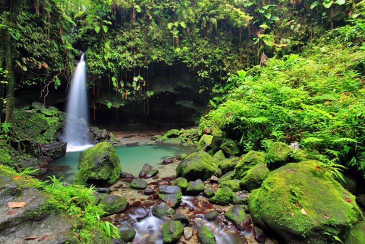 12 Top-Rated Things to Do in Dominica