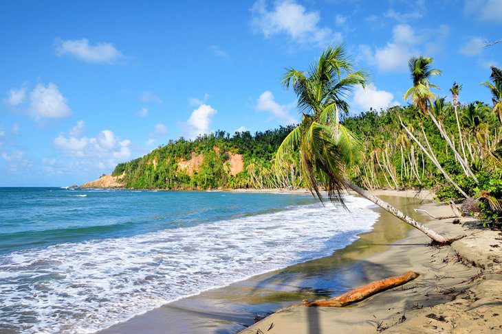 12 Top-Rated Things to Do in Dominica