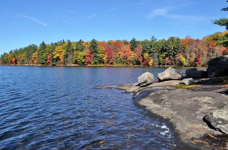 12 Top-Rated Things to Do in Gravenhurst, Ontario