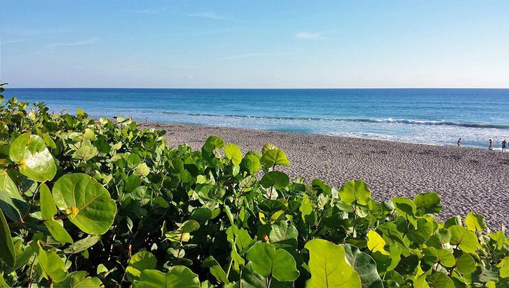 12 Top-Rated Things to Do in Juno Beach, FL