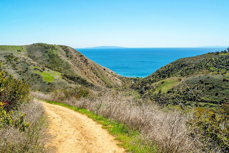 12 Top-Rated Things to Do in Malibu, CA