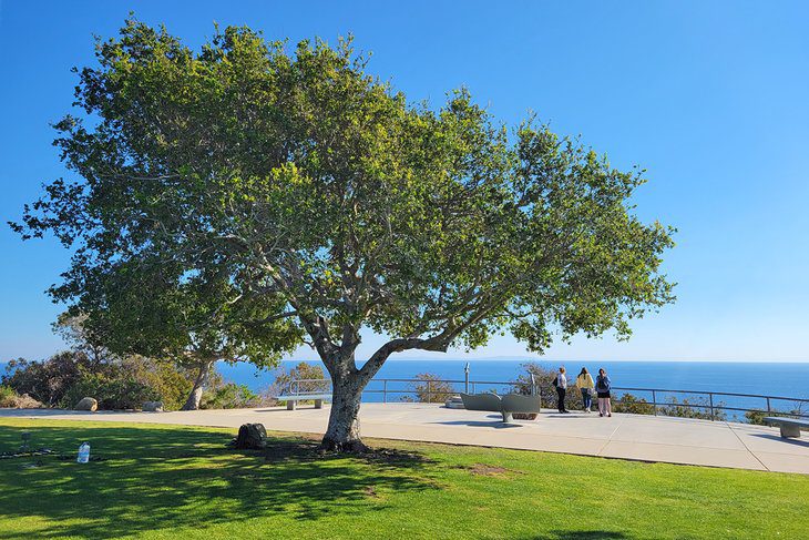 12 Top-Rated Things to Do in Malibu, CA