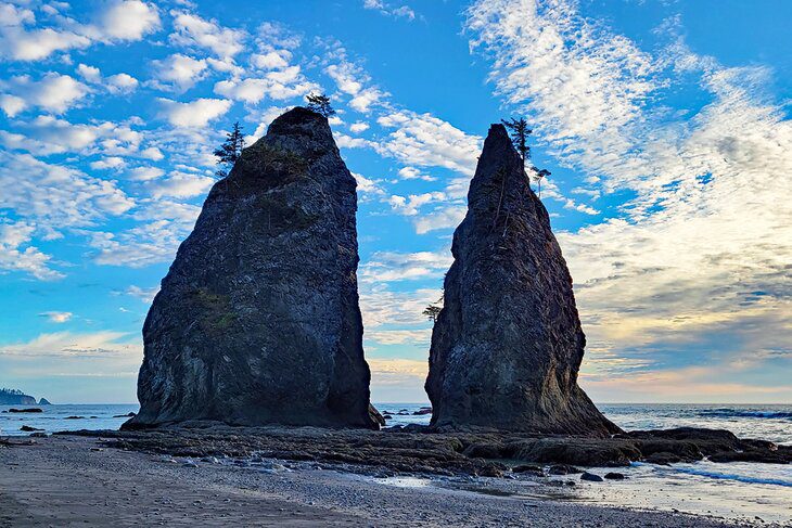 12 Top-Rated Things to Do in Olympic National Park