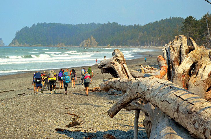 12 Top-Rated Things to Do in Olympic National Park