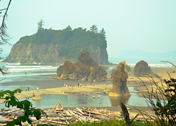 12 Top-Rated Things to Do in Olympic National Park