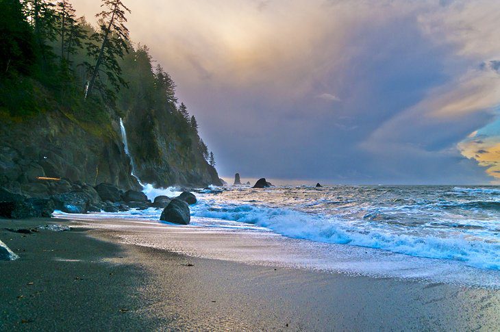 12 Top-Rated Things to Do in Olympic National Park