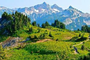 12 Top-Rated Things to Do in Olympic National Park