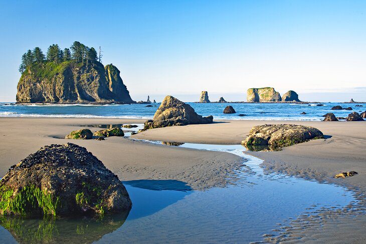 12 Top-Rated Things to Do in Olympic National Park