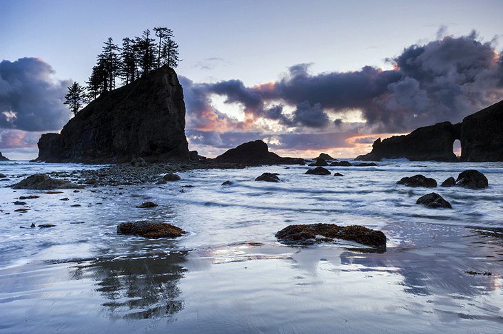 12 Top-Rated Things to Do in Olympic National Park