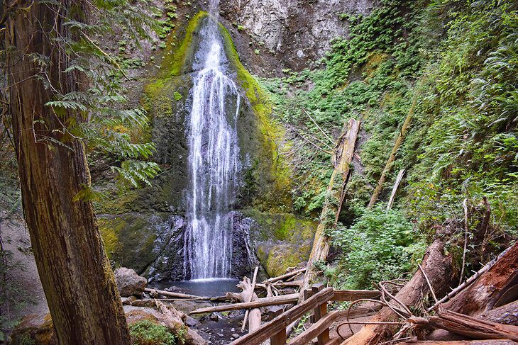 12 Top-Rated Things to Do in Olympic National Park