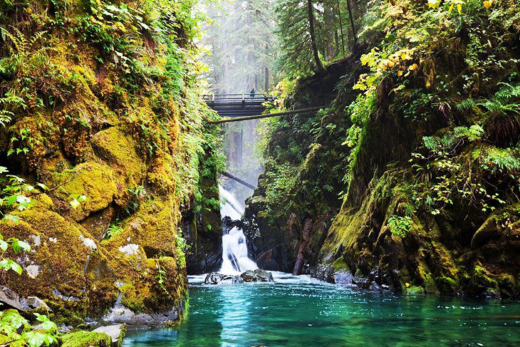 12 Top-Rated Things to Do in Olympic National Park