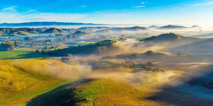 12 Top-Rated Things to Do in Petaluma, CA