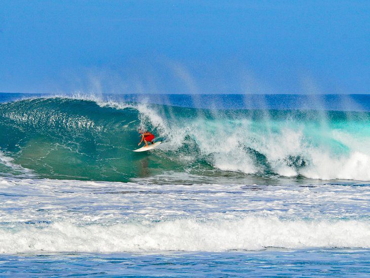 12 Top-Rated Things to Do in Puerto Escondido