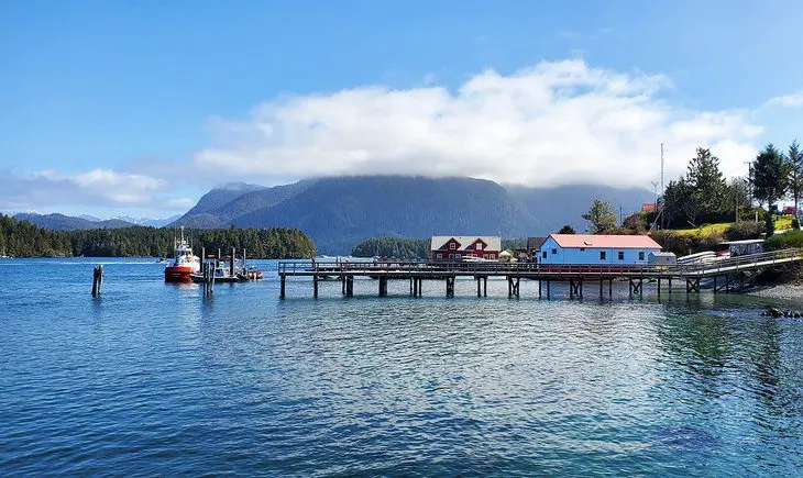 12 Top-Rated Things to Do in Tofino, BC