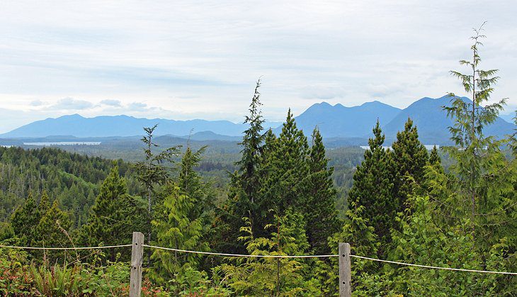 12 Top-Rated Things to Do in Tofino, BC