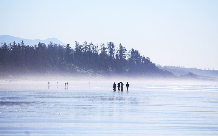 12 Top-Rated Things to Do in Tofino, BC