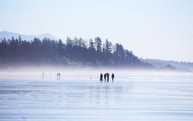 12 Top-Rated Things to Do in Tofino, BC