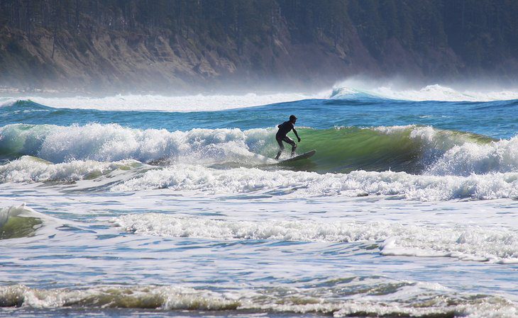 12 Top-Rated Things to Do in Tofino, BC