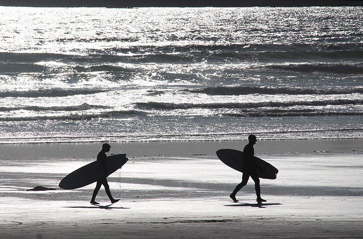 12 Top-Rated Things to Do in Tofino, BC