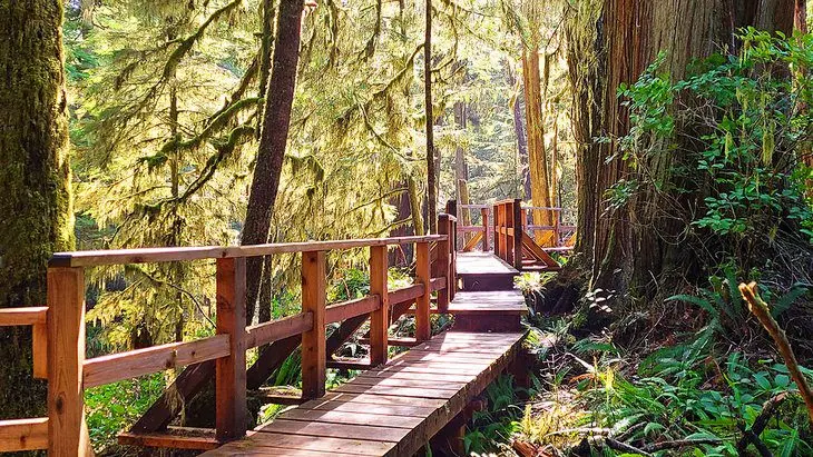 12 Top-Rated Things to Do in Tofino, BC