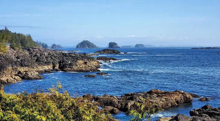 12 Top-Rated Things to Do in Tofino, BC