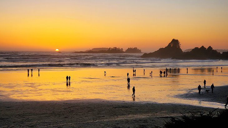 12 Top-Rated Things to Do in Tofino, BC