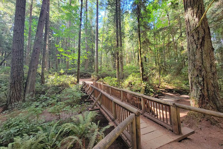 12 Top-Rated Things to Do on Bainbridge Island, WA