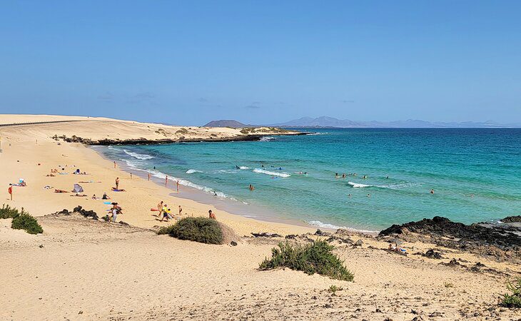 12 Top-Rated Things to Do on Fuerteventura