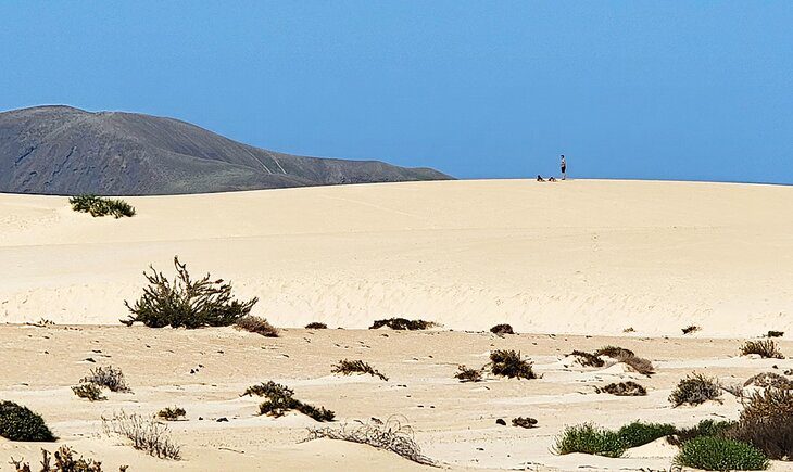 12 Top-Rated Things to Do on Fuerteventura