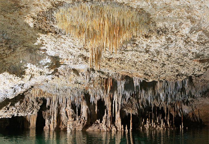 12 Top-Rated Things to Do on the Mayan Riviera