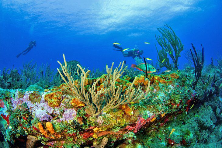 12 Top-Rated Tourist Attractions in Bonaire, Saba, and St. Eustatius