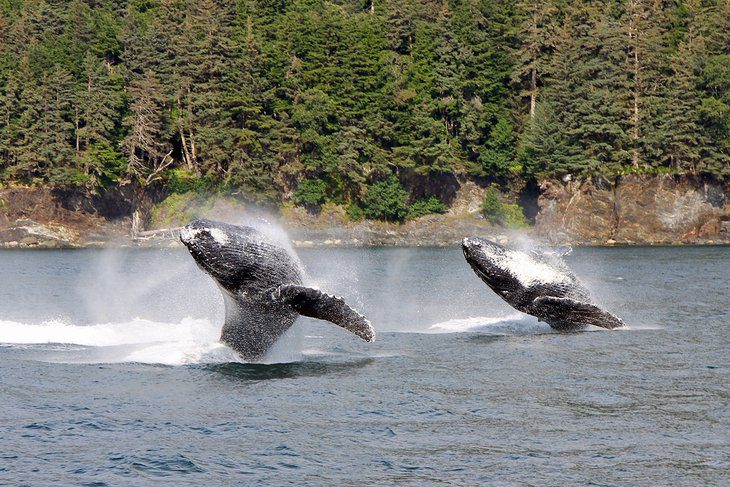 12 Top-Rated Tourist Attractions in Juneau