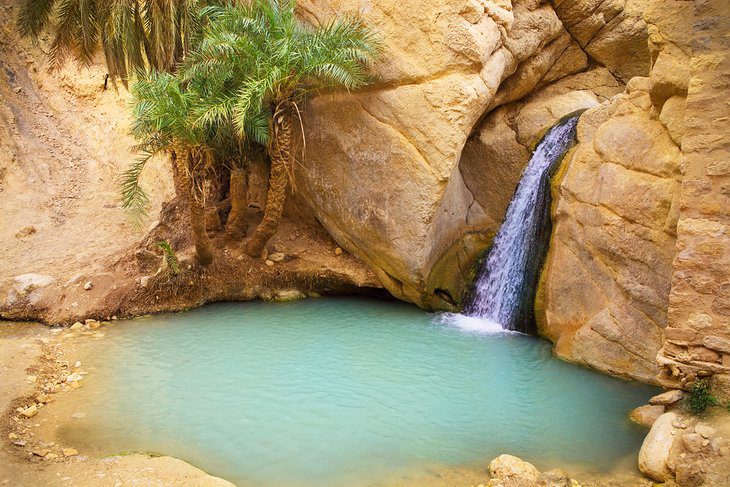 12 Top-Rated Tourist Attractions in Tozeur, Tunisia