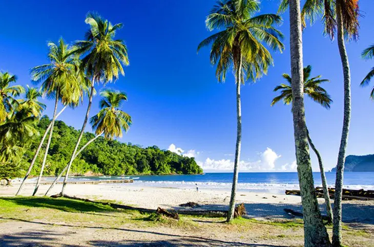 12 Top-Rated Tourist Attractions in Trinidad and Tobago