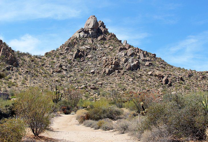 12 Top-Rated Tourist Attractions & Things to Do in Scottsdale, AZ