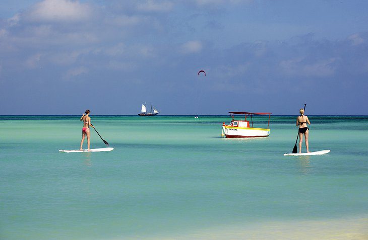 12 Top-Rated Tours and Excursions in Aruba