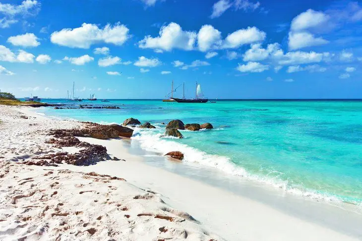 12 Top-Rated Tours and Excursions in Aruba