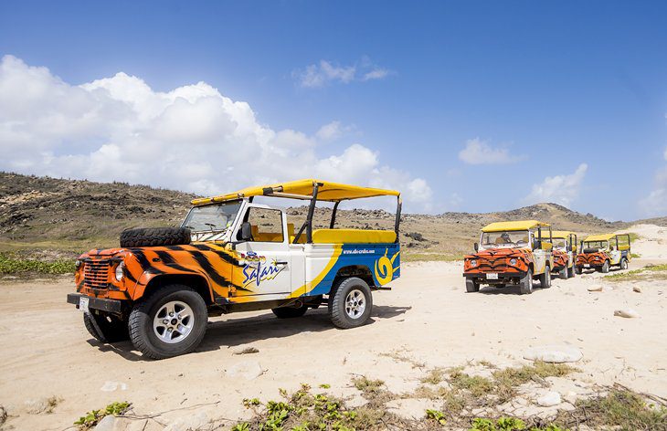 12 Top-Rated Tours and Excursions in Aruba