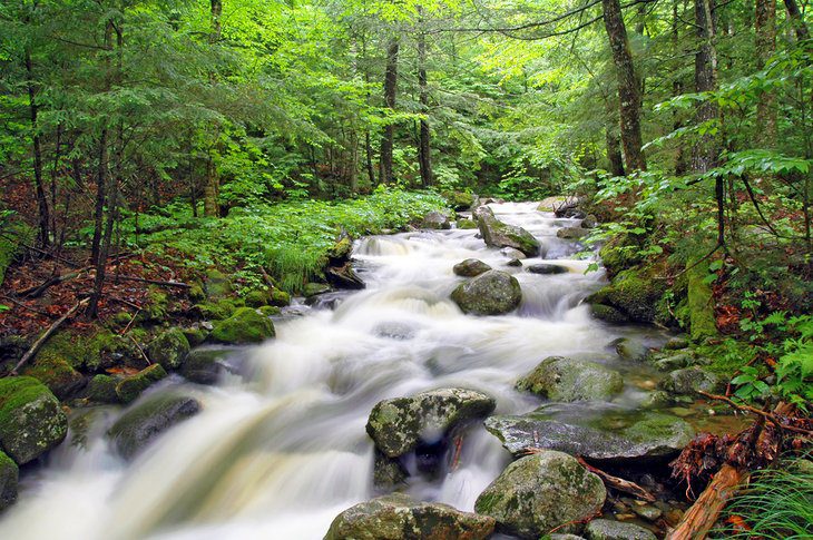 12 Top-Rated Waterfalls in Maine