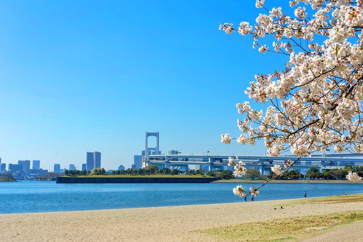 13 Best Beaches in Japan