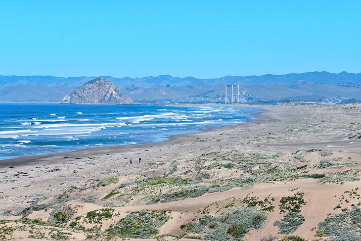 13 Best Beaches near San Luis Obispo, CA