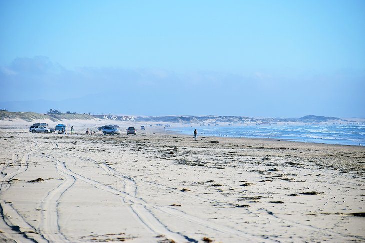 13 Best Beaches near San Luis Obispo, CA