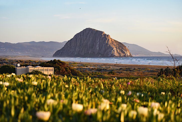 13 Best Beaches near San Luis Obispo, CA