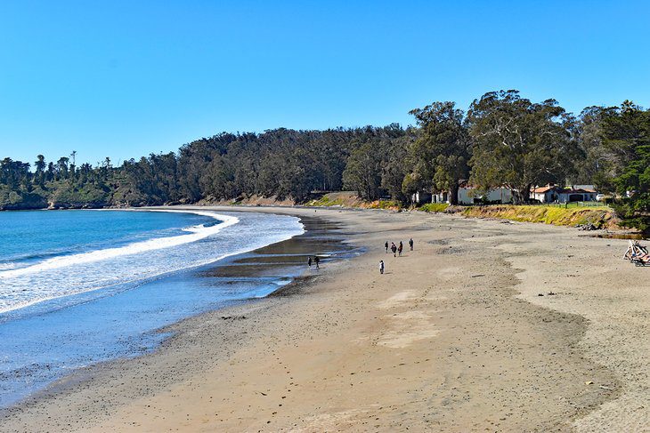 13 Best Beaches near San Luis Obispo, CA