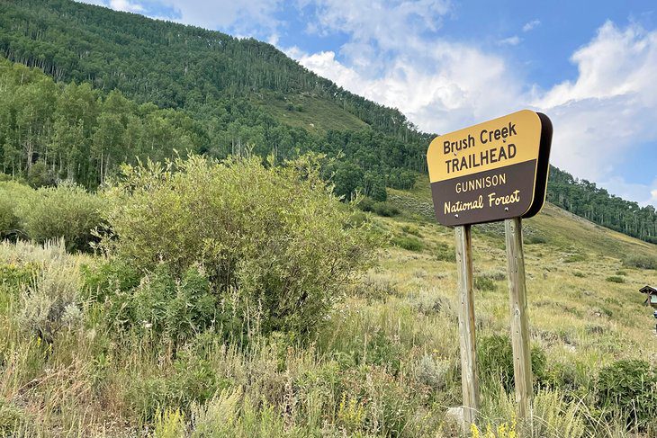 13 Best Campgrounds in Crested Butte, CO